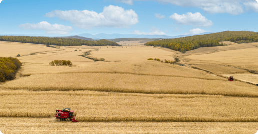Mudanjiang 100K-Acre Corn Full-Cycle Trusteeship
