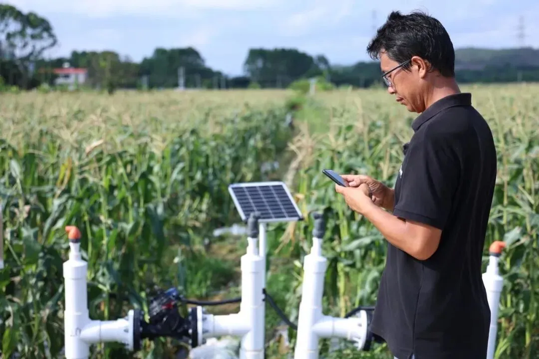 Two Fengnong Projects Selected Among Top 74 National Smart Farming Cases