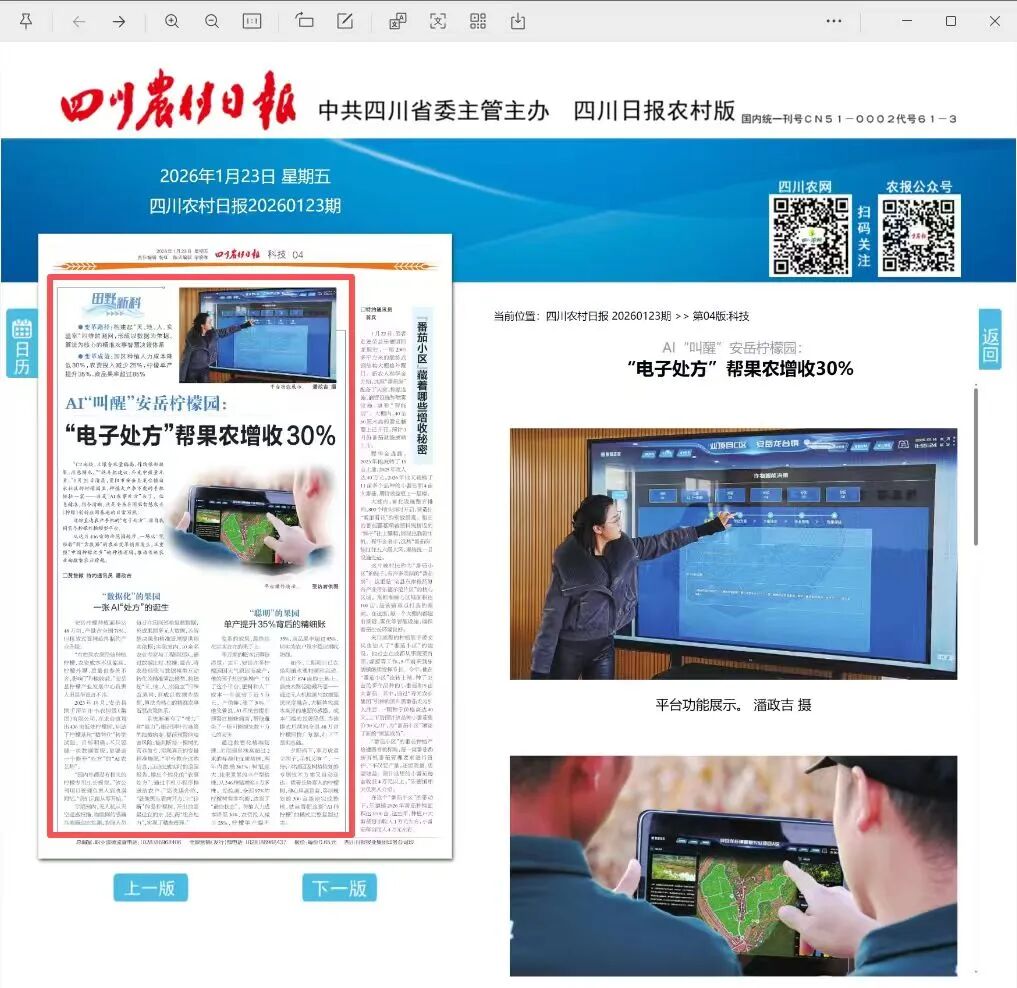 四川村落日报出格报道：：AI“唤醒”安岳柠檬园 一张“电子处方”若何让果农增收三成